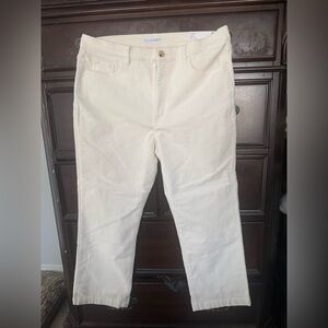 LOFT Women's High Rise Jeans in Cream